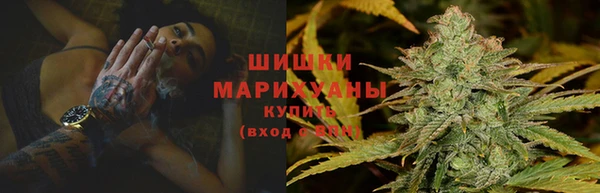 СК Аркадак