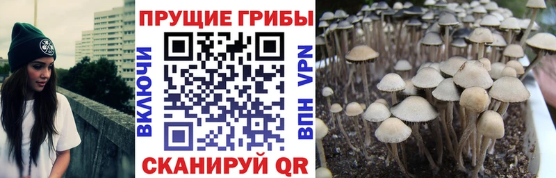 Галлюциногенные грибы ЛСД  Меленки 